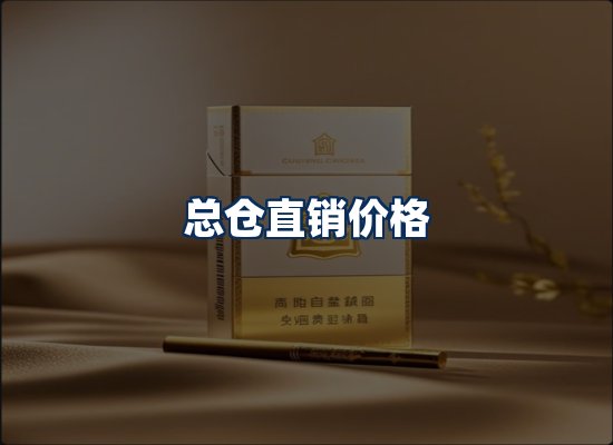 专业团队办公环境